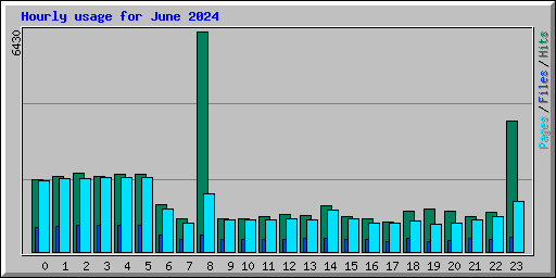 Hourly usage for June 2024