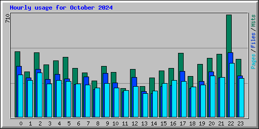 Hourly usage for October 2024