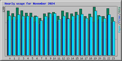 Hourly usage for November 2024